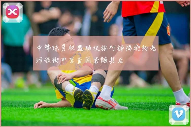 中锋球员联盟助攻排行榜揭晓约老师领衔申京奎因紧随其后