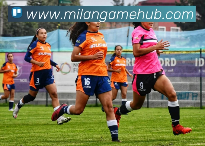 米兰体育平台生态图