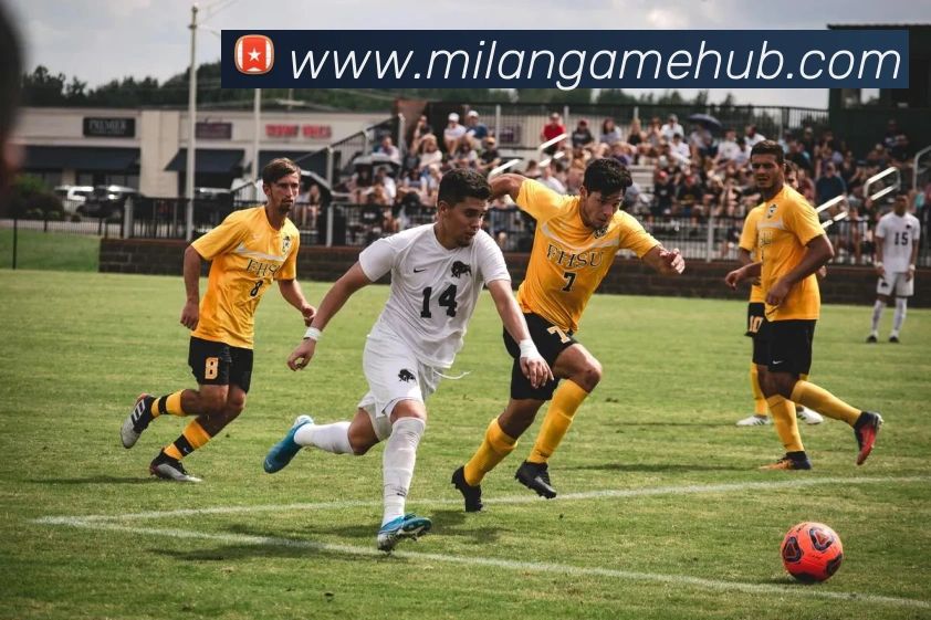 米兰体育APP 封面图